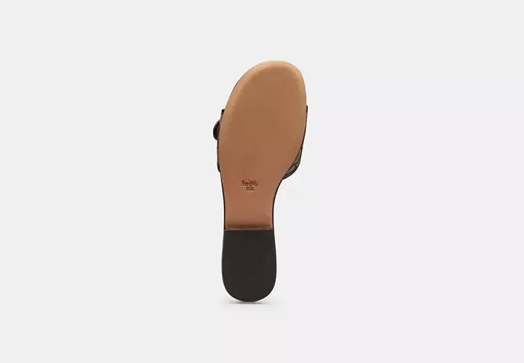 Margot Flat Sandal In Signature Jacquard